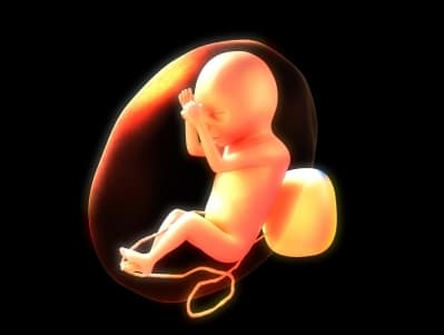 Cult of the Fetus: Dehumanizing Language Kills