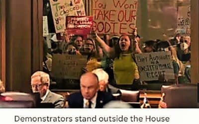 Reflections of Abortion Testimonies at the Indiana Statehouse