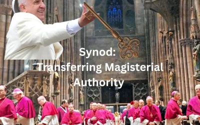 Synod: Transferring Magisterial Authority